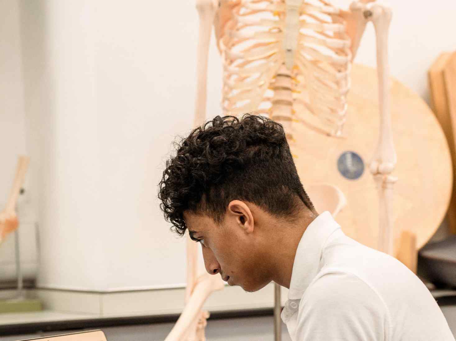 Student working with a skeleton model 