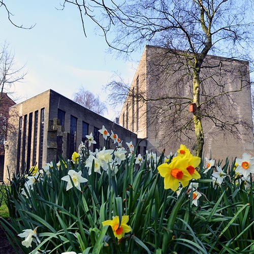 Daffodils of various shades of yellow growing outside the campus chapel 
