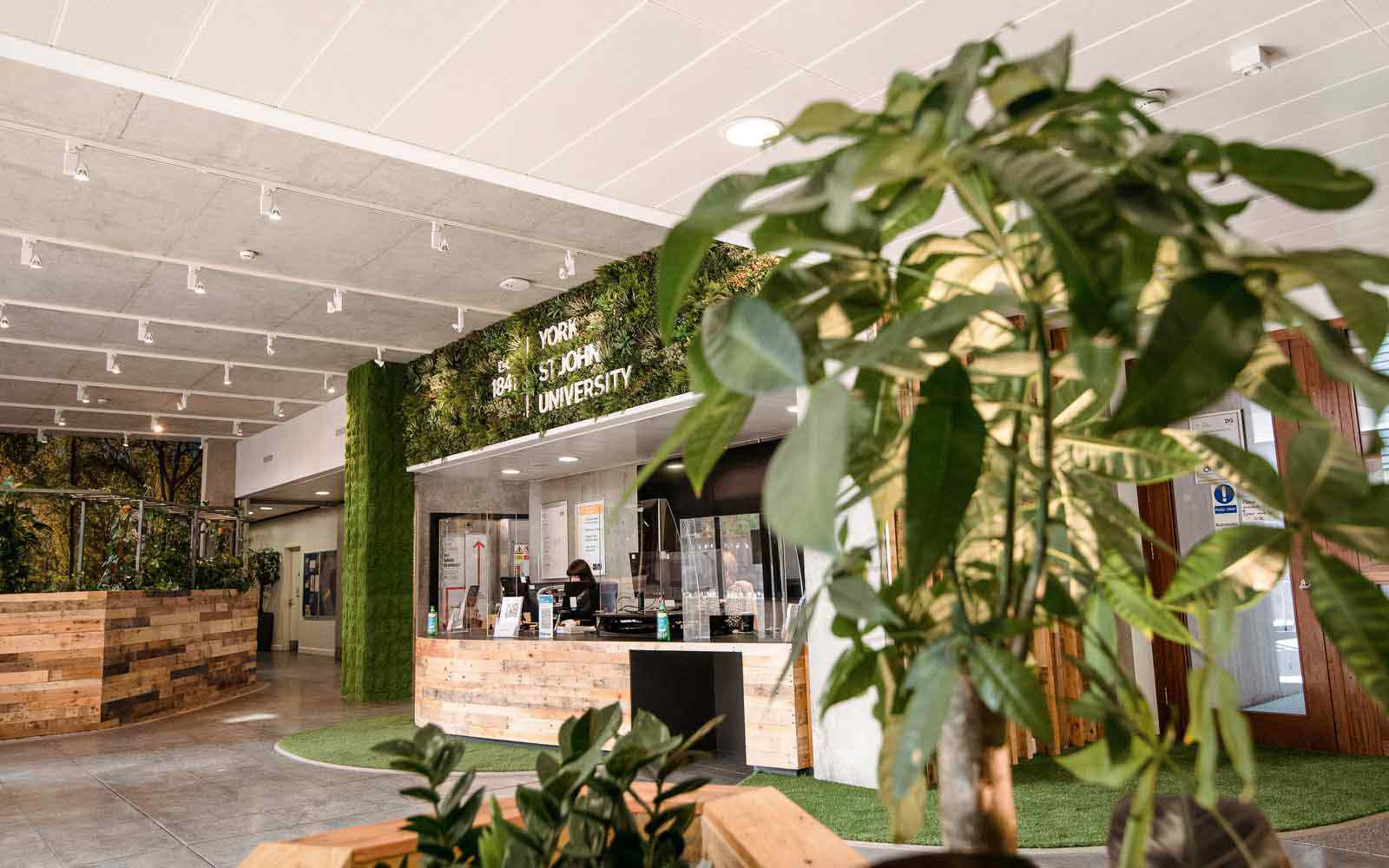 The DeGrey building reception, decorated with greenery and plants 