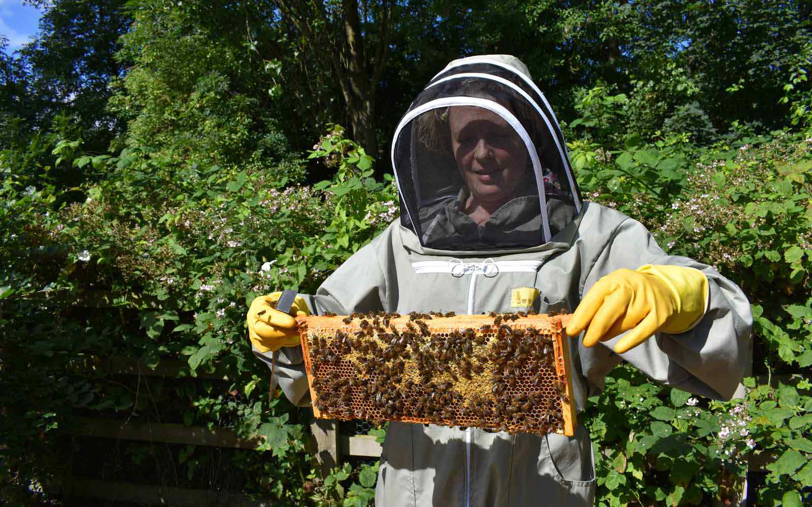 An individual tending to a beehive 