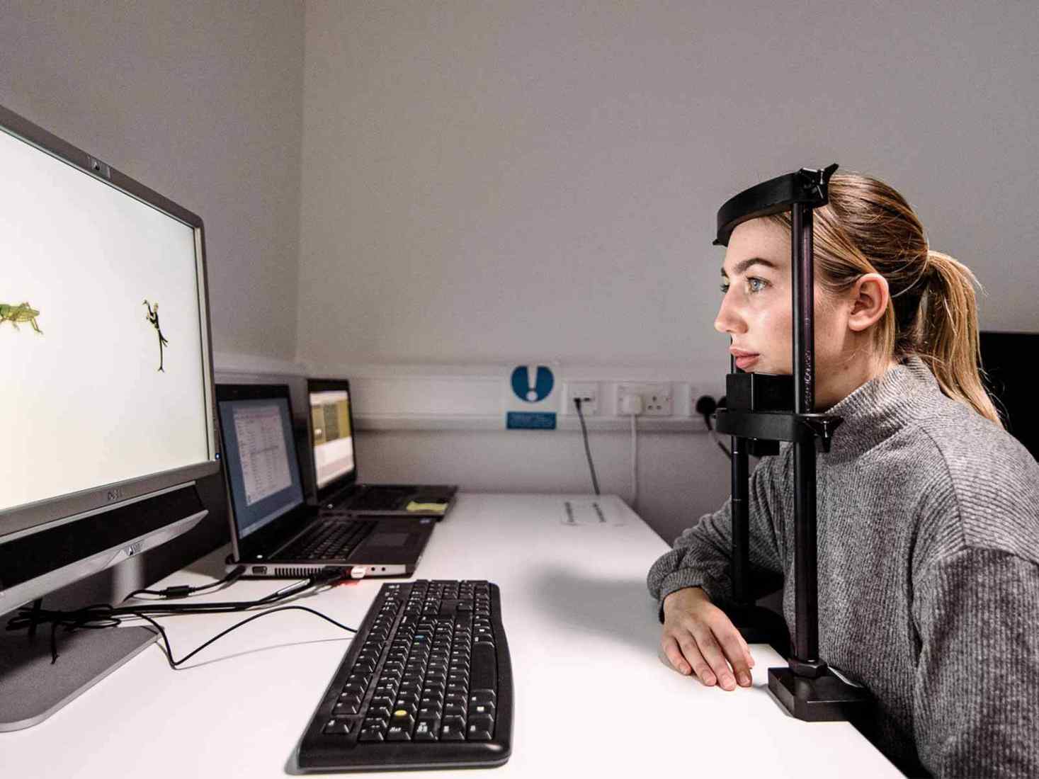 Student using eye tracking software 